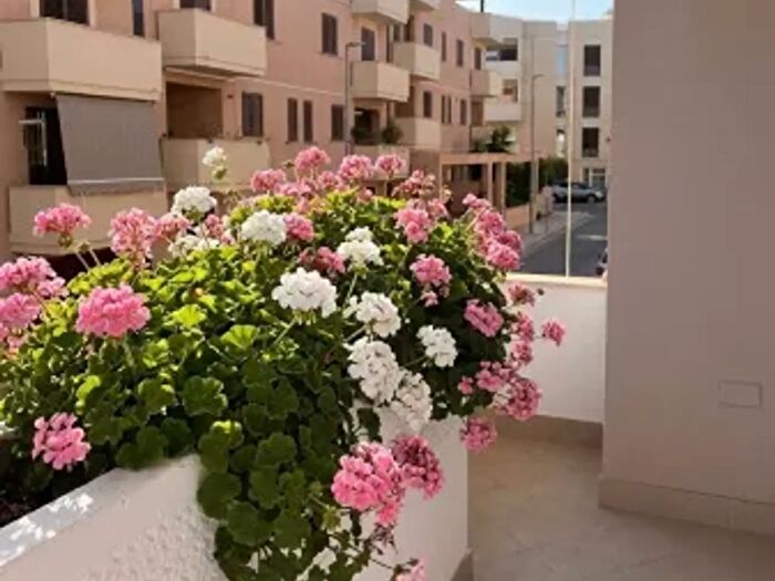 Appartamento quadrilocale in vendita in Via Francesco Paolo Perez, Terrasini
