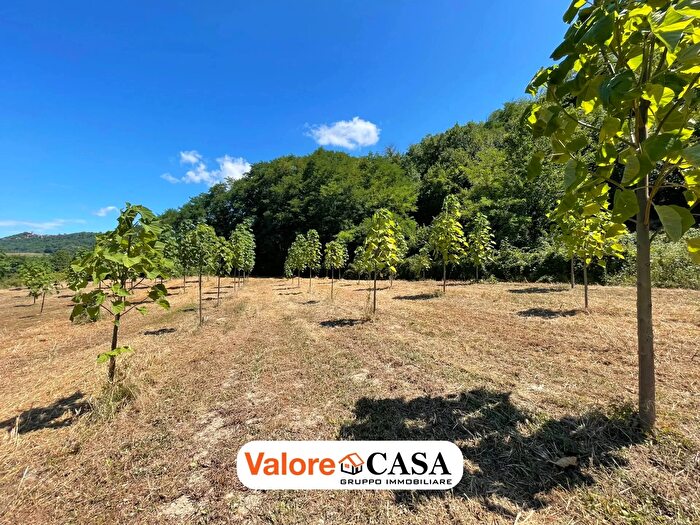 Casa monolocale in vendita in Ponzone