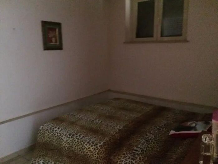 Appartamento trilocale in affitto in Strade, Patrica