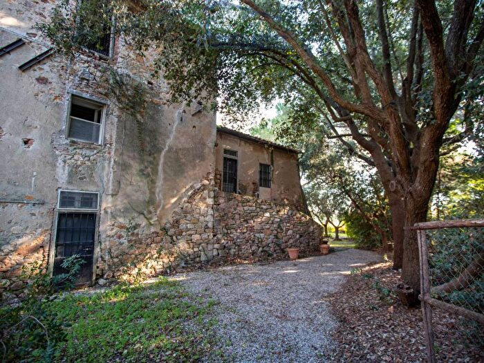 Casa con 5 locali in affitto in Strada Poggio la Pescia, Capalbio