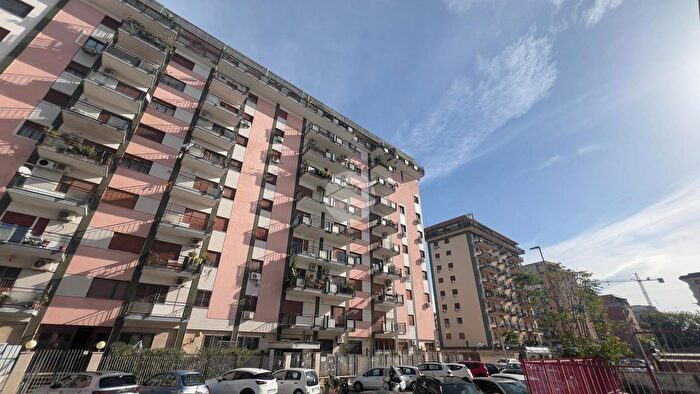 Appartamento con 5 locali in affitto in Via Sandro Botticelli, Palermo