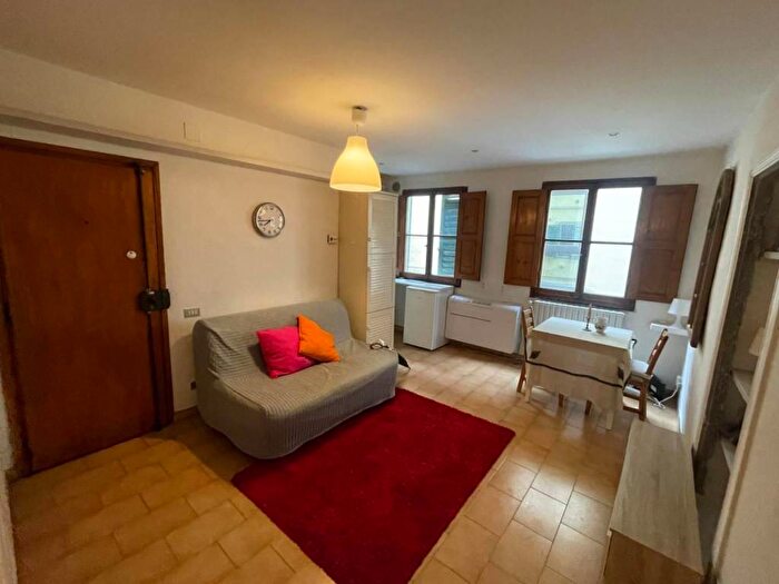 Appartamento bilocale in affitto in Via dei Serragli, Santo Spirito, Firenze