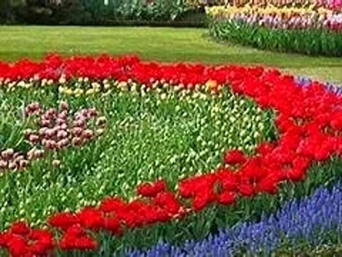 Appartamento in affitto in Senigallia