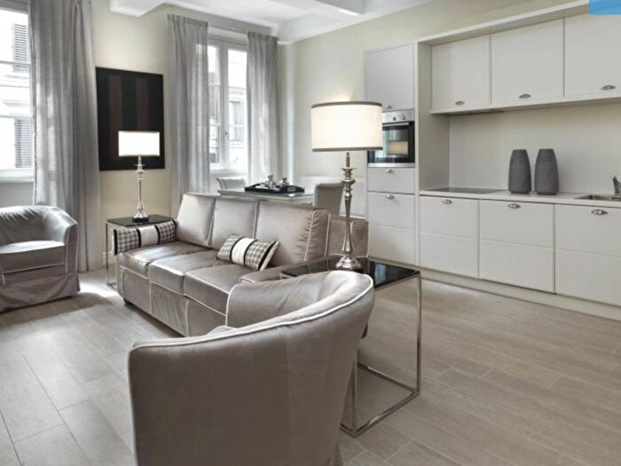 Appartamento bilocale in affitto in Borgo Ognissanti, Borgo Ognissanti Il Prato, Firenze