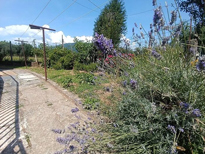Casa con 8 locali in vendita in Romano D'Ezzelino