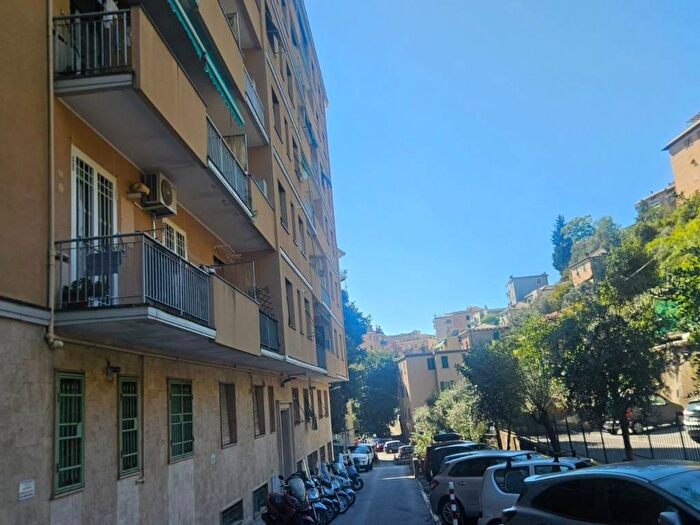 Appartamento bilocale in affitto in Via Antonio Cei, San Martino, Genova