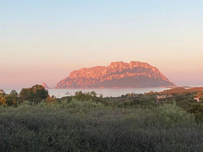 Casa trilocale in affitto in Viale Porto Istana, Murta Maria Porto Istana, Olbia