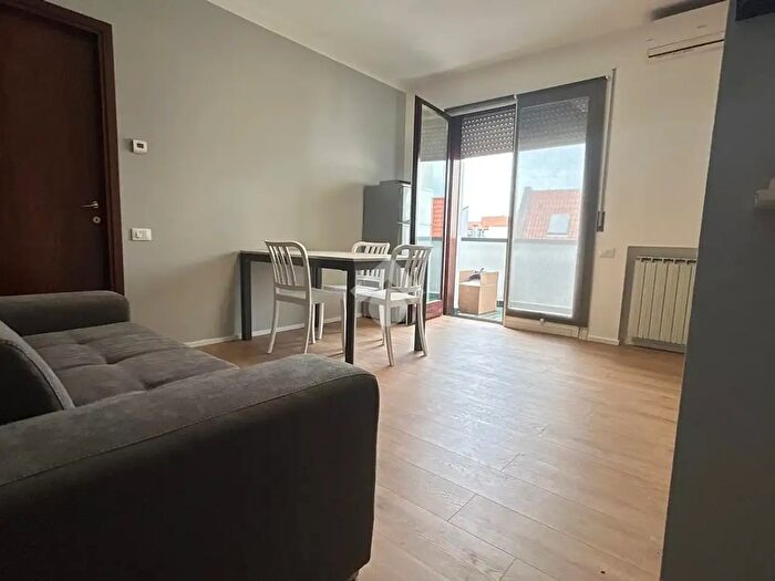 Appartamento bilocale in affitto in Viale Tre Martiri, Rovigo