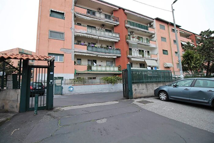 Appartamento trilocale in vendita in Misterbianco