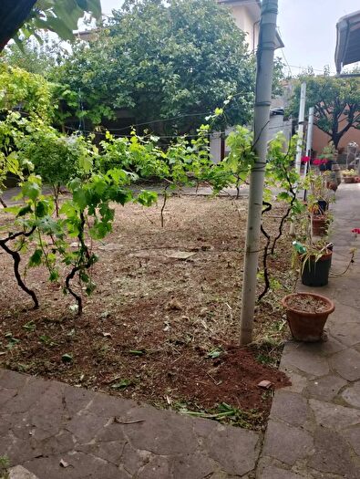 Casa quadrilocale in vendita in Rosignano Marittimo