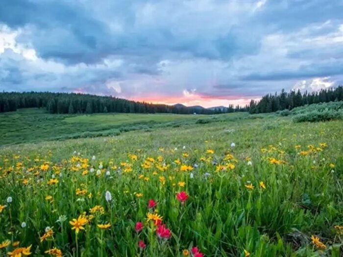 Casa con 6 locali in vendita in Largo dellOlgiata, Roma