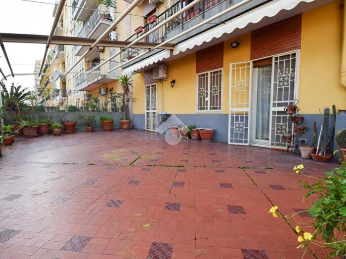 Appartamento quadrilocale in affitto in Viale Regina Elena, Libertà, Messina