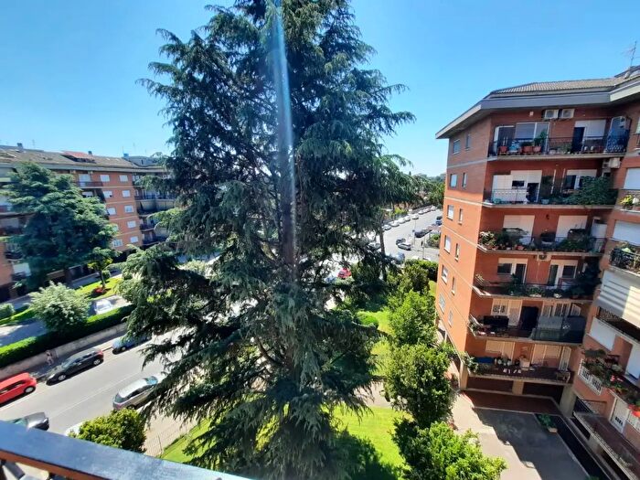 Appartamento bilocale in affitto in Via Pietro Belon, Roma