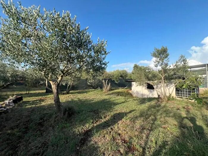 Casa monolocale in vendita in Poli
