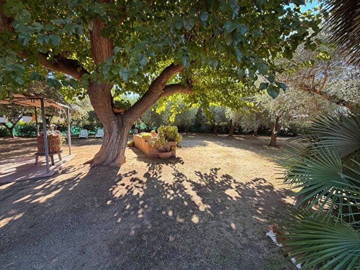 Casa con 5 locali in affitto in Strada Provinciale Parrina, Orbetello