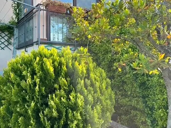 Appartamento bilocale in vendita in Montescudaio