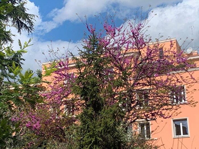 Appartamento trilocale in affitto in Via Umberto Boccioni, Parioli, Roma