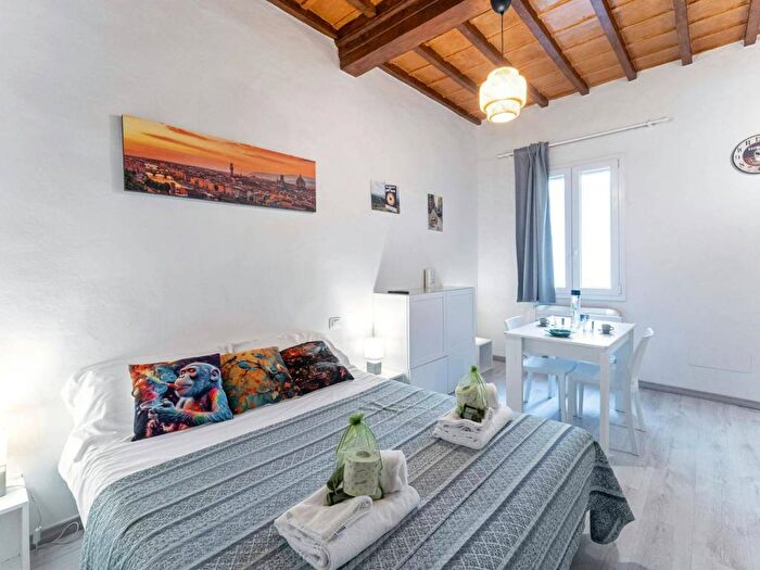 Appartamento monolocale in affitto in Via dei Macci, Santa Croce, Firenze