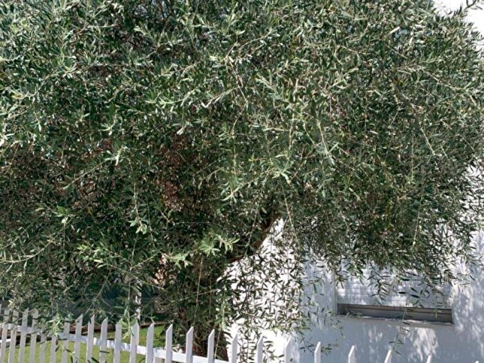 Appartamento trilocale in affitto in Centro, Torri di Quartesolo