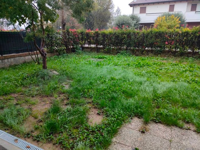 Appartamento trilocale in affitto in Castegnero Nanto