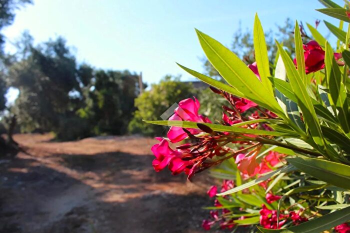 Casa monolocale in vendita in Contrada Monti, Carovigno
