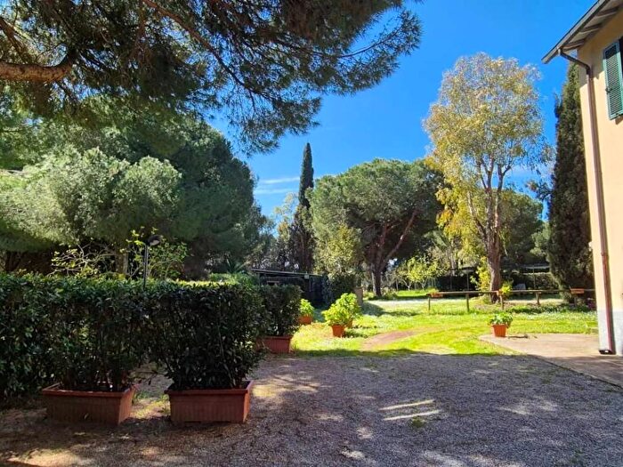 Appartamento bilocale in affitto in Piombino