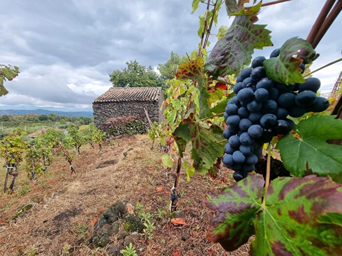 Casa monolocale in vendita in Via Vena, Piedimonte Etneo