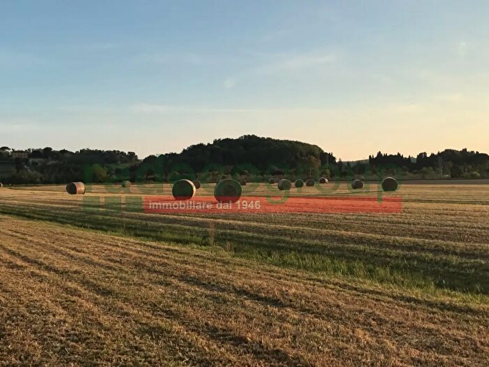 Appartamento in affitto in Collesalvetti
