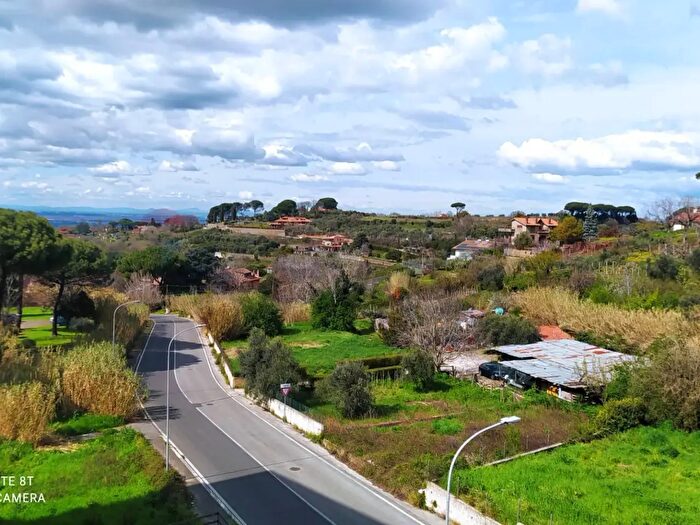 Appartamento trilocale in affitto in Marino