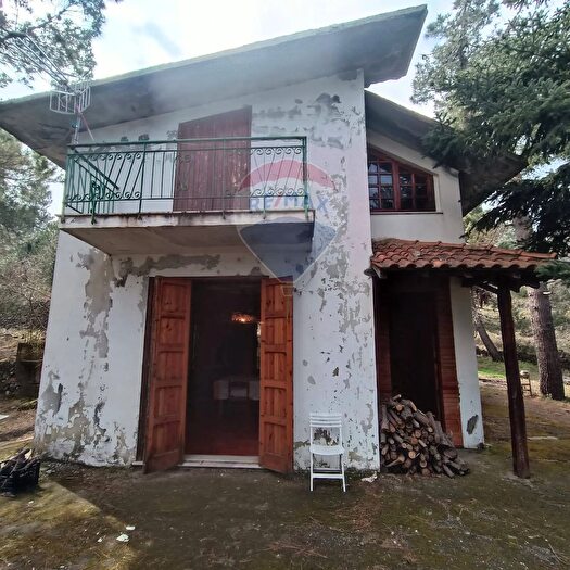 Casa con 5 locali in vendita in Contrada Petto Petraro Snc, Linguaglossa