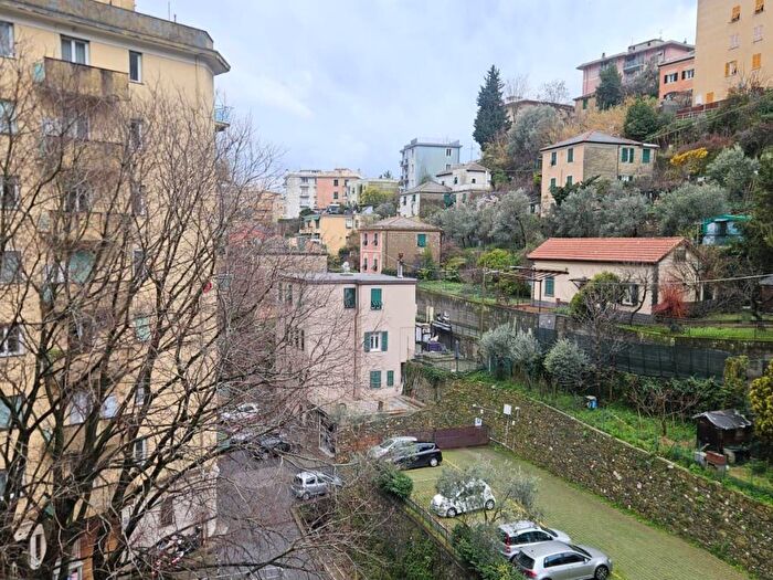 Appartamento con 5 locali in affitto in Via Antonio Cei, San Martino, Genova