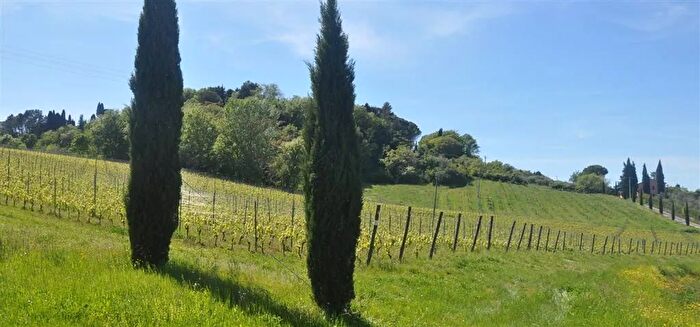 Casa in vendita in Casale Marittimo