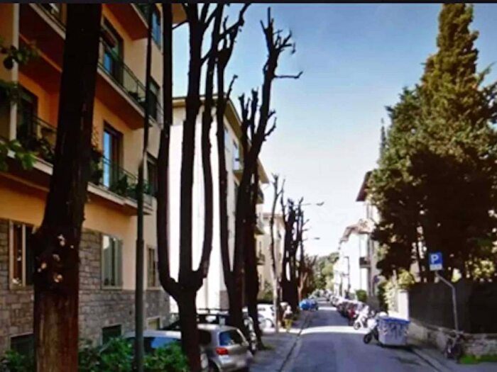 Appartamento in affitto in Via Lorenzo Bardelli, Leopoldo Vittorio Emanuele Statuto, Firenze