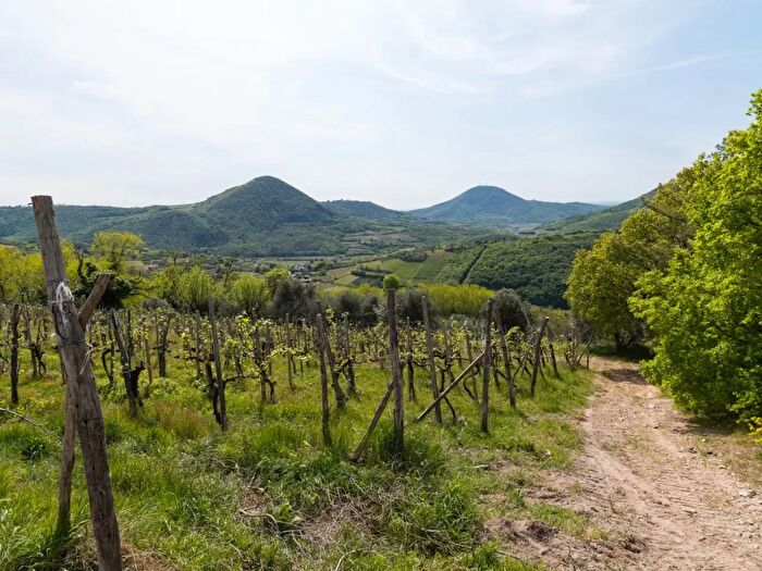 Casa con 5 locali in vendita in Via Sassoni, Cinto Euganeo