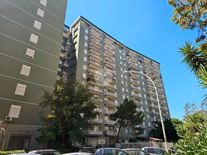 Appartamento quadrilocale in vendita in Via Azolino Hazon, Palermo