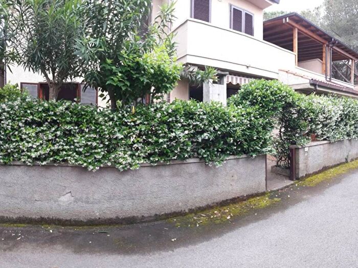 Appartamento trilocale in affitto in Via Palazzeta, San Pietro in Palazzi Collemezzano Buca del Gatto, Cecina