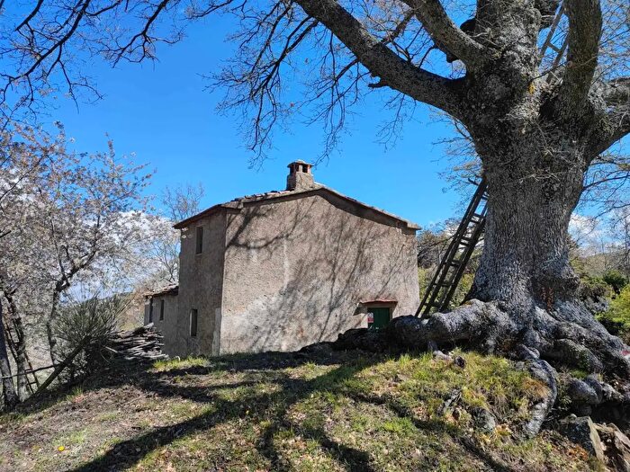 Casa con 6 locali in vendita in Località Poggiolo, Seggiano