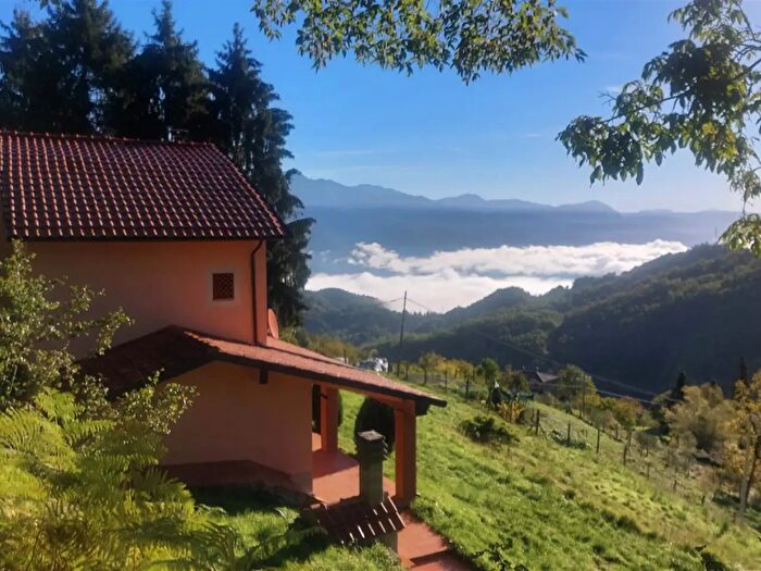 Casa con 8 locali in vendita in Via Alciide Rossi, Molazzana