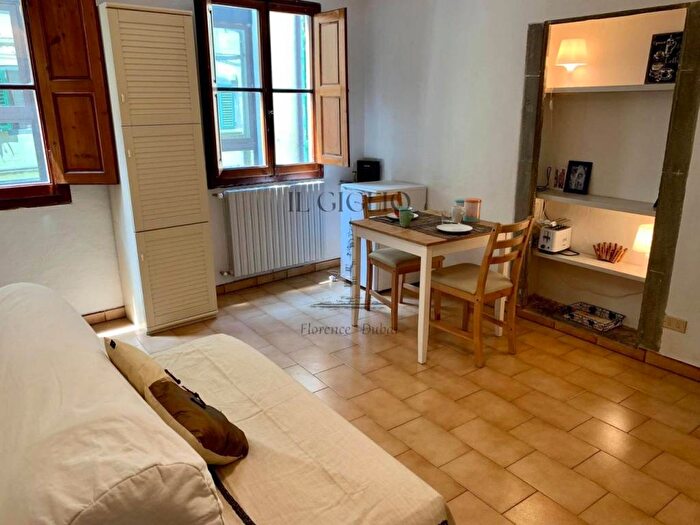 Appartamento bilocale in affitto in Via Santa Maria, Santo Spirito, Firenze