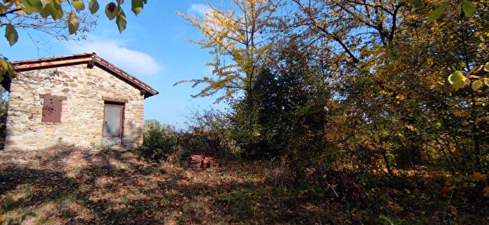 Casa con 9 locali in vendita in Via per Ovada Trisobbio, Trisobbio