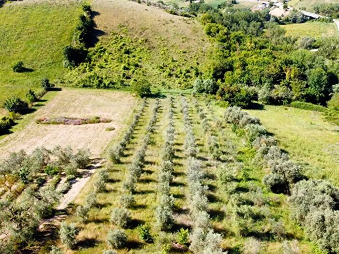 Casa con 5 locali in vendita in Contrada Valle Asinara, Monsampolo Del Tronto