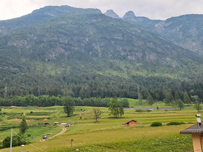 Casa con 9 locali in vendita in Frazione Caralte, Perarolo Di Cadore