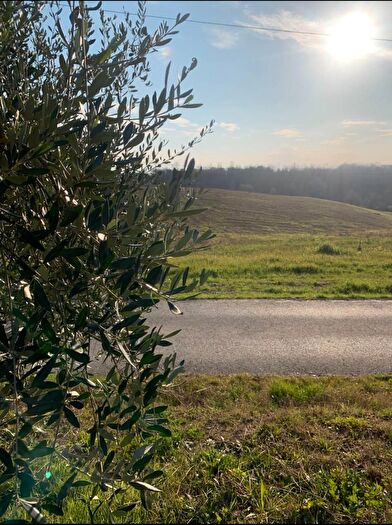 Casa con 5 locali in vendita in Via Lambecchi, Vinci