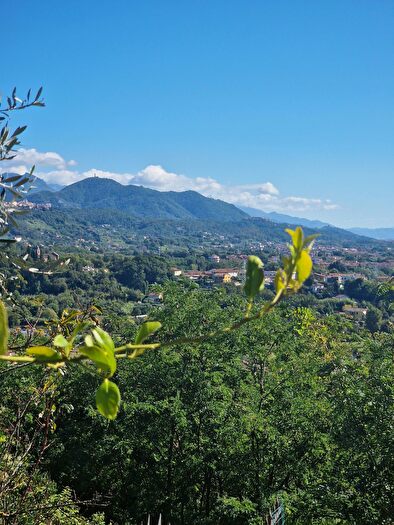 Appartamento quadrilocale in affitto in Via Fortino, Sarzana