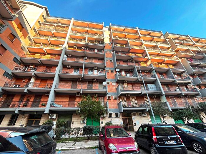 Appartamento quadrilocale in affitto in Via Celestino Galiani, San Michele, Foggia