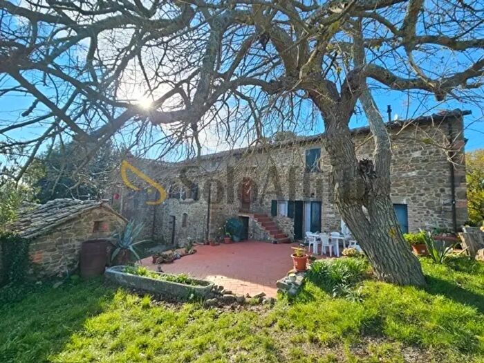 Appartamento quadrilocale in affitto in Montebenichi, Bucine