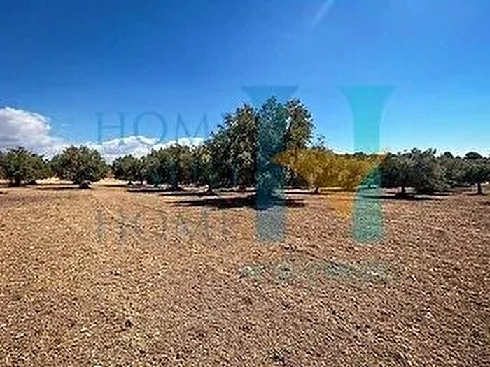 Casa in vendita in Noto