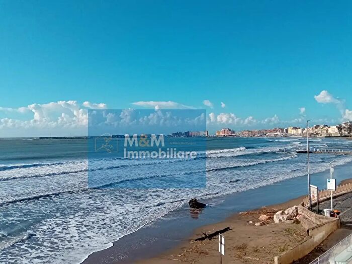 Appartamento bilocale in affitto in Nettuno