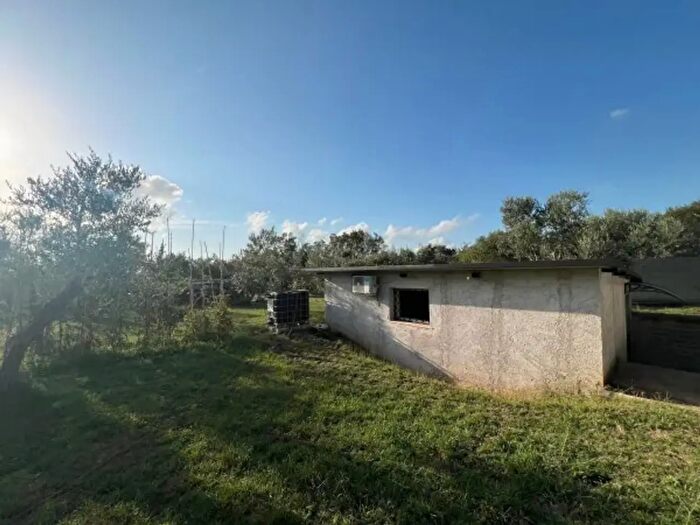 Casa monolocale in vendita in Poli