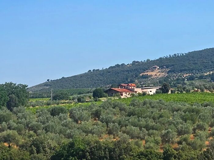 Casa con 12 locali in vendita in Via Selvarella, Montecchio